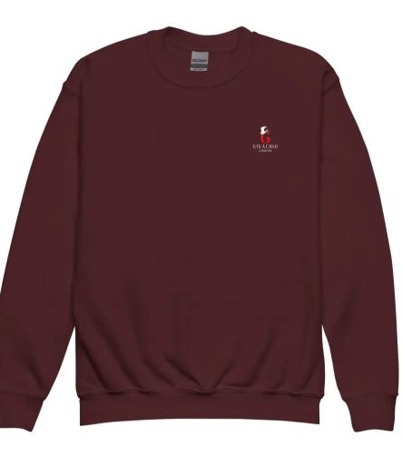 G Swish Hat Red Youth Sweatshirt - Maroon / XS