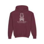 Noir Skull Youth Hoodie - S / Maroon - Kids clothes