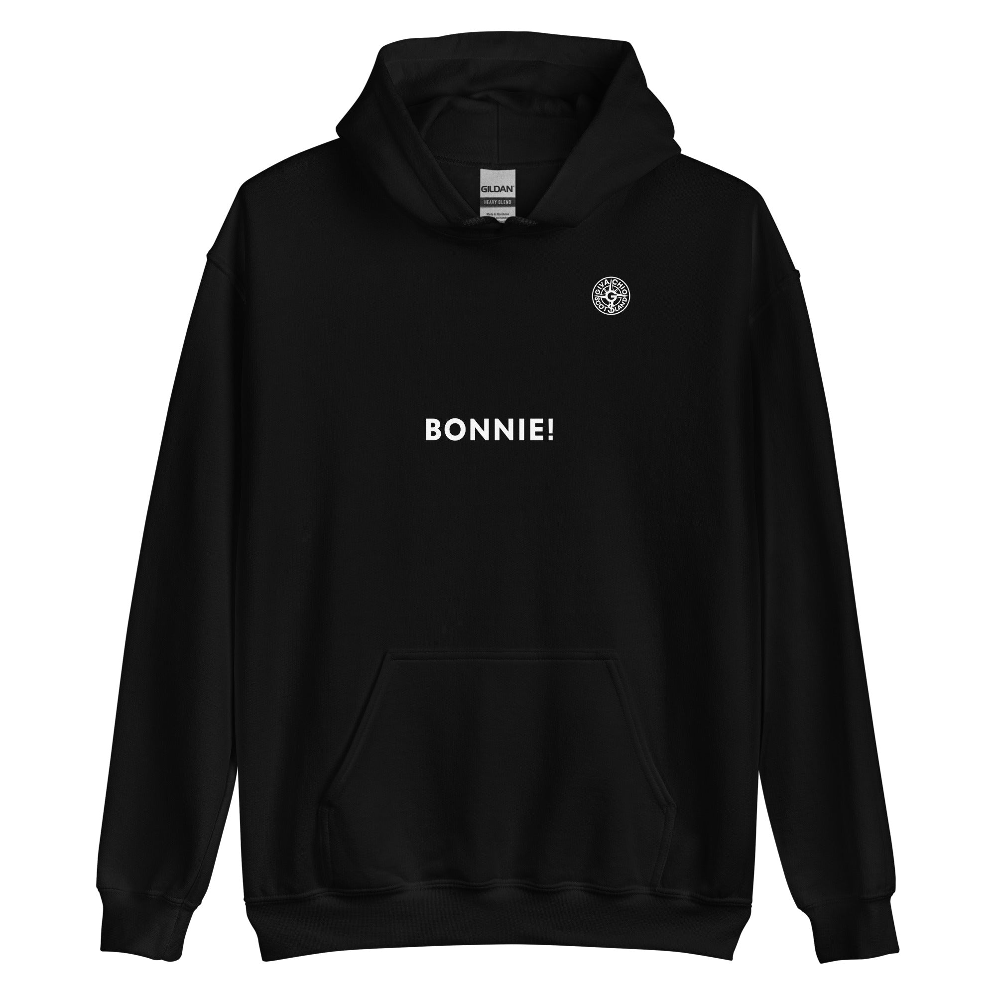 unisex-heavy-blend-hoodie-black-front-6871416463bdf Product mockup